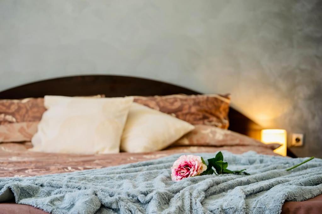 Cozy 2-Bedroom Flat In The Very Center Of Sofia Buitenkant foto